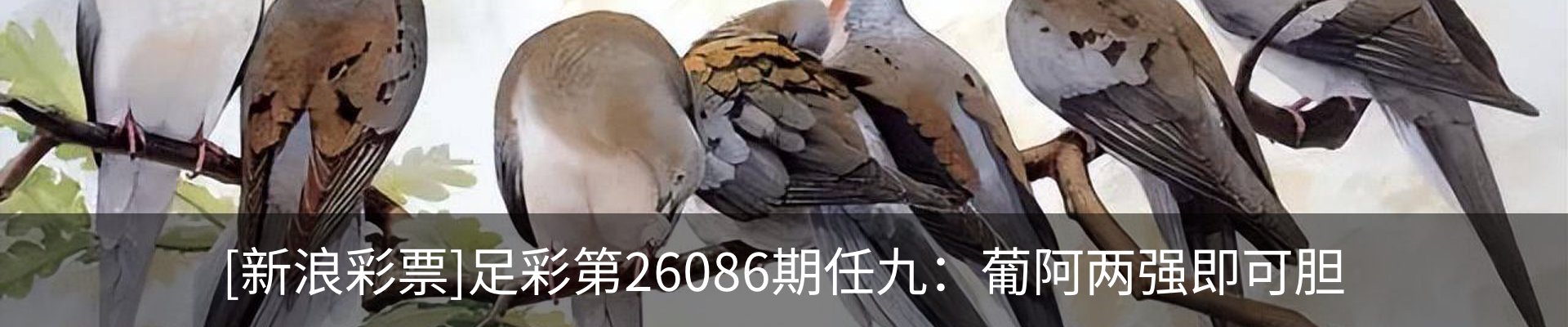 新闻中心